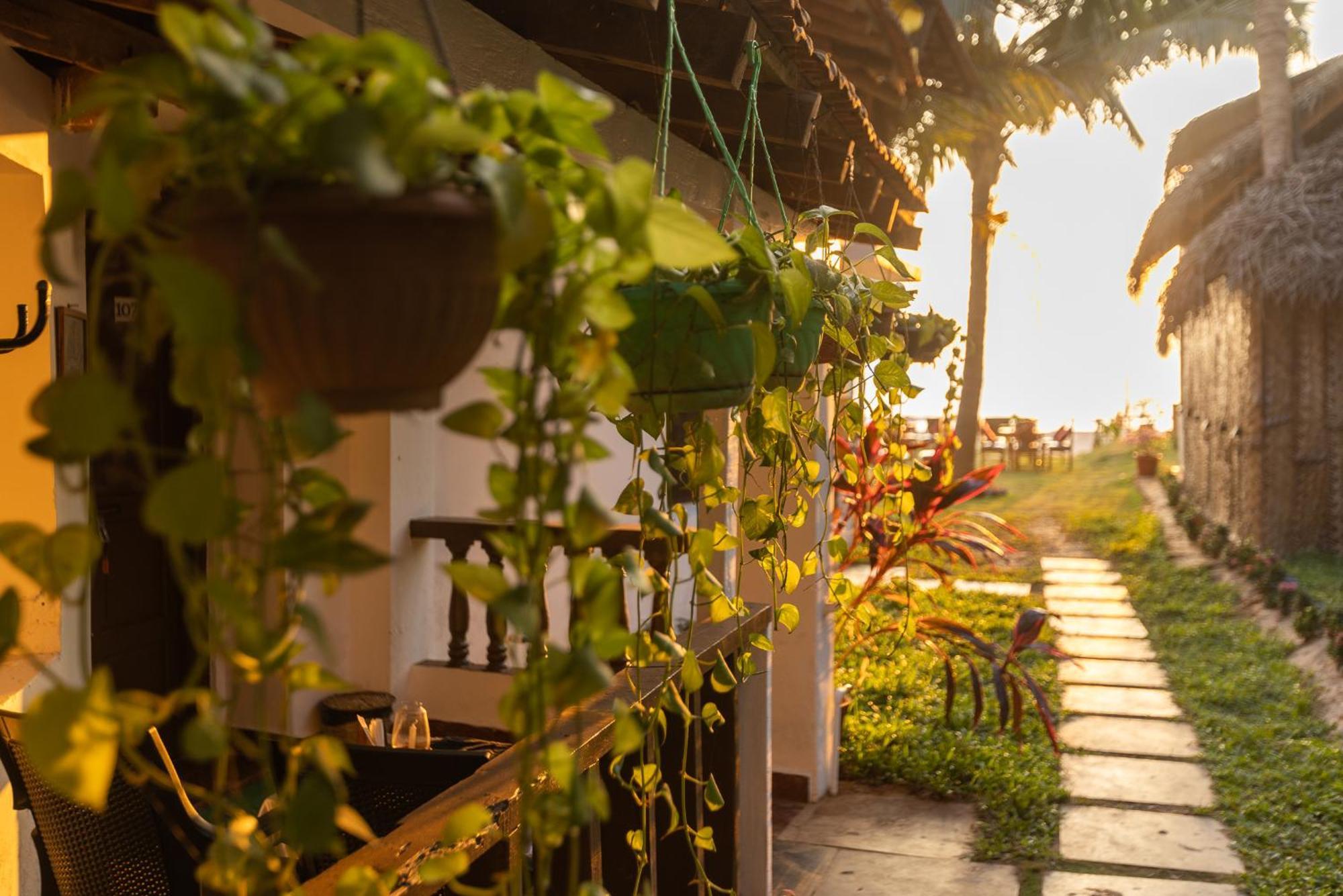 Forget Me Not Resort Agonda Eksteriør bilde